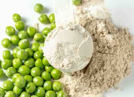 Pea Protein